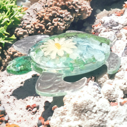 Tortues plates